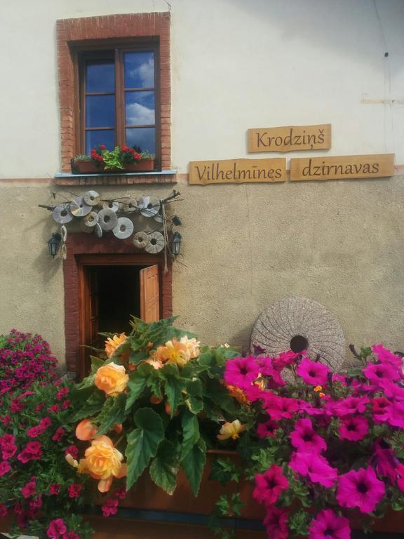 Viesu Nams Vilhelmine Hotel Ligatne Exterior photo